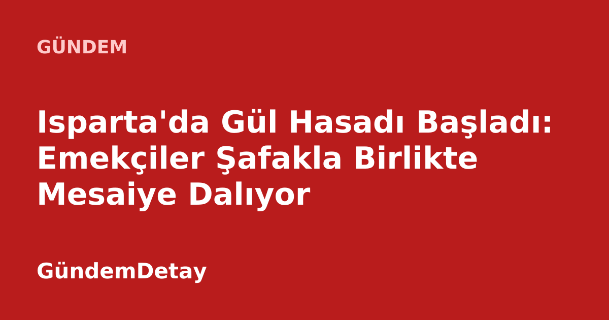 Isparta'da sabahın erken saatlerinde gül bahçelerinde çalışan işçiler