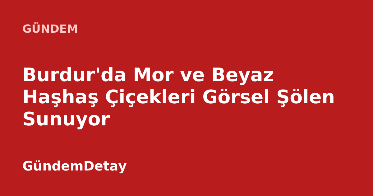 Burdur'da mor ve beyaz haşhaş çiçekleriyle kaplı geniş bir tarla manzarası.